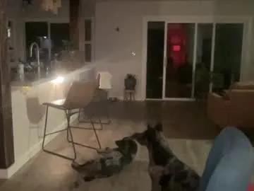 kaileeshy from Chaturbate