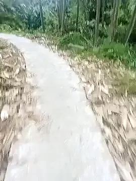 PhienPhien from StripChat